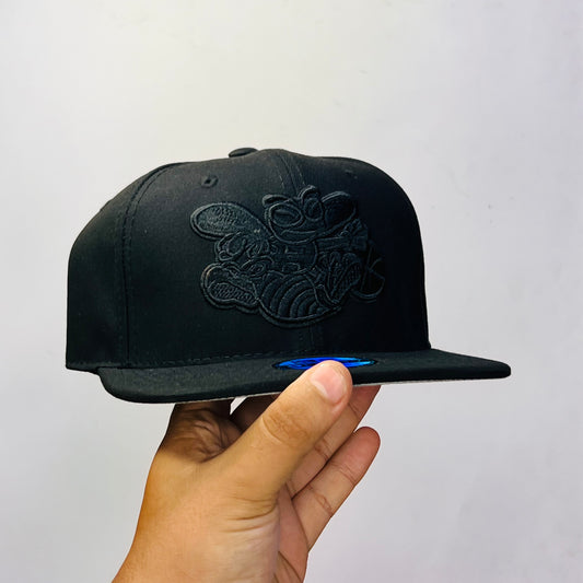 CH01 Gorra 3C Charlotte Hornets PL Ajustable